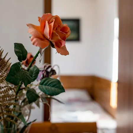 Apartamento Thermae 2bdrm Sunny *